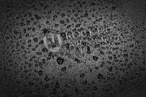 2026_04_17_901662